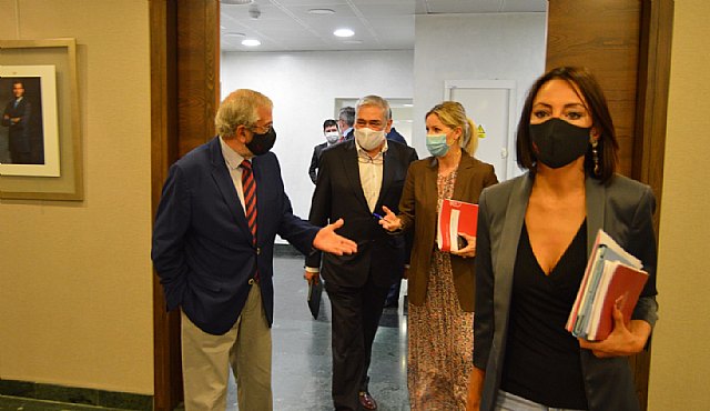 Ciudadanos lamenta que PSOE busque la confrontación con la descontaminación y recuperación de los suelos mineros