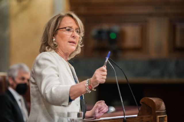 VOX exige al Gobierno de Sánchez un plan integral para la regeneración definitiva de la bahía de Portmán